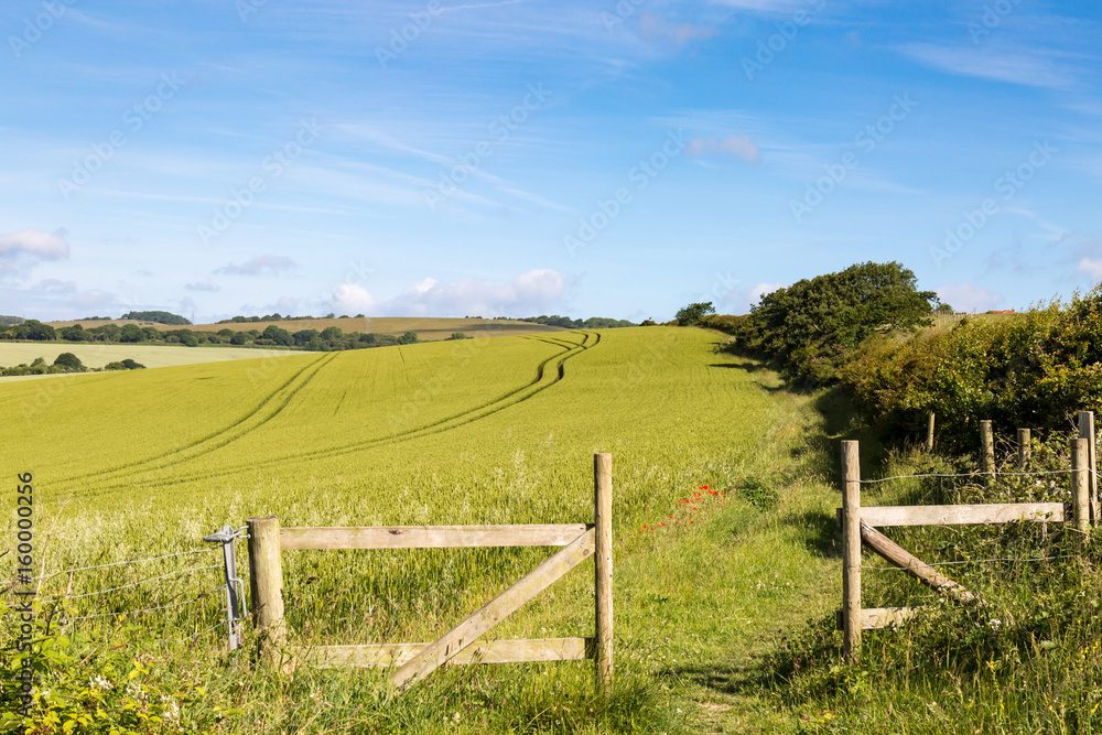 A gate and farm landscape