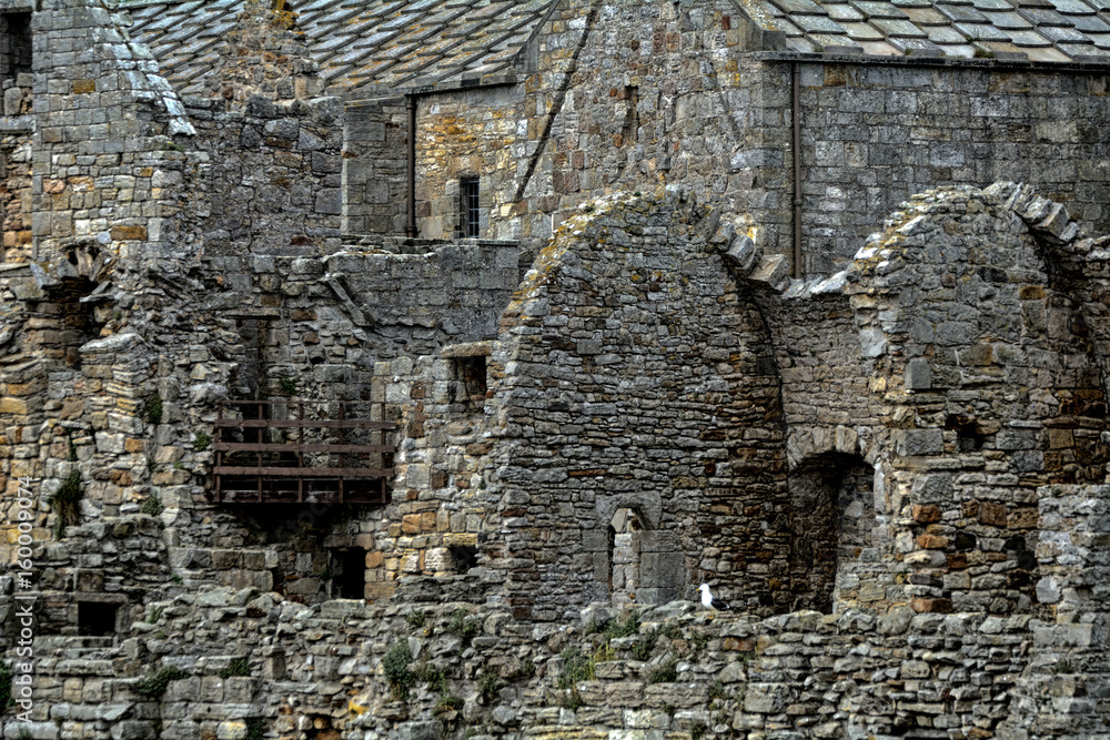 Abbey ruins, Inchcolm Island, Scotland