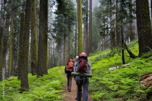 Fotografie A group of backpackers hike through a densely grown forest