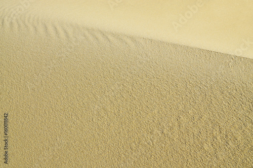 Sandy dune. Natural background