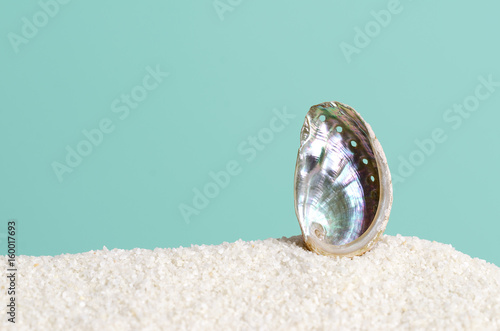 Abalone shell on white sand on turquoise background. Ormer, Haliotis, sea snail, marine gastropod mollusc. Open spiral structure. Iridescent inside nacre surface with respiratory pores. Macro photo. photo