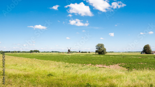 Obraz na plátně Panorama of polder and two windmills, Netherlands