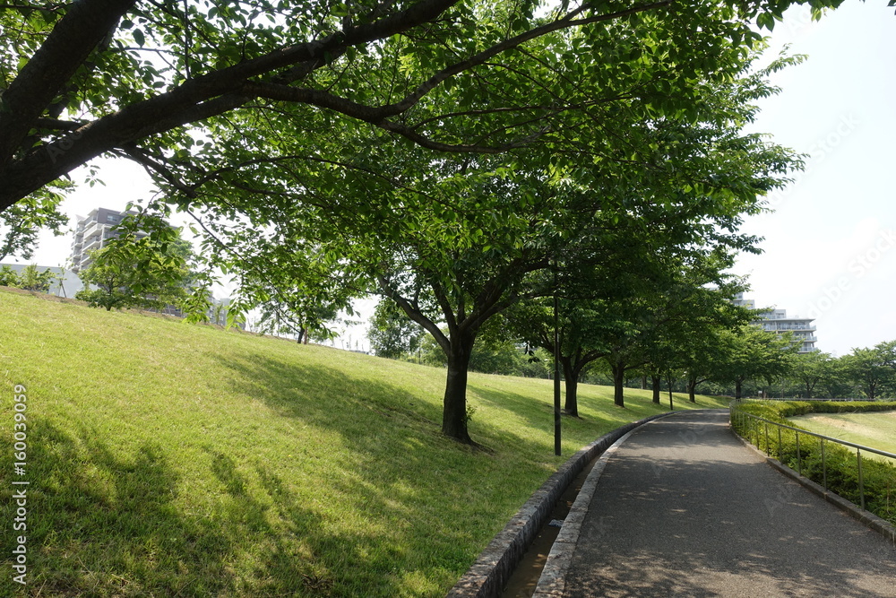 ６月の散歩道