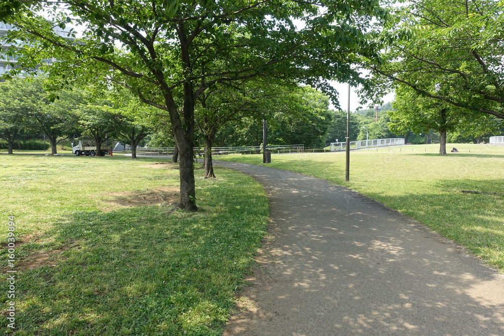 ６月の散歩道