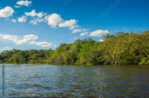 Cuyabeno river, rainforest, terrain of Siona indigenous people. Transport by the river by motorboats, great place to visit, jungle, lots of animals. in Cuyabeno National Park, in Ecuador