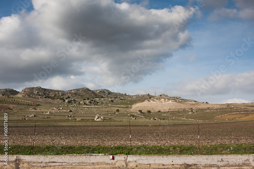 Sicilian Landscape