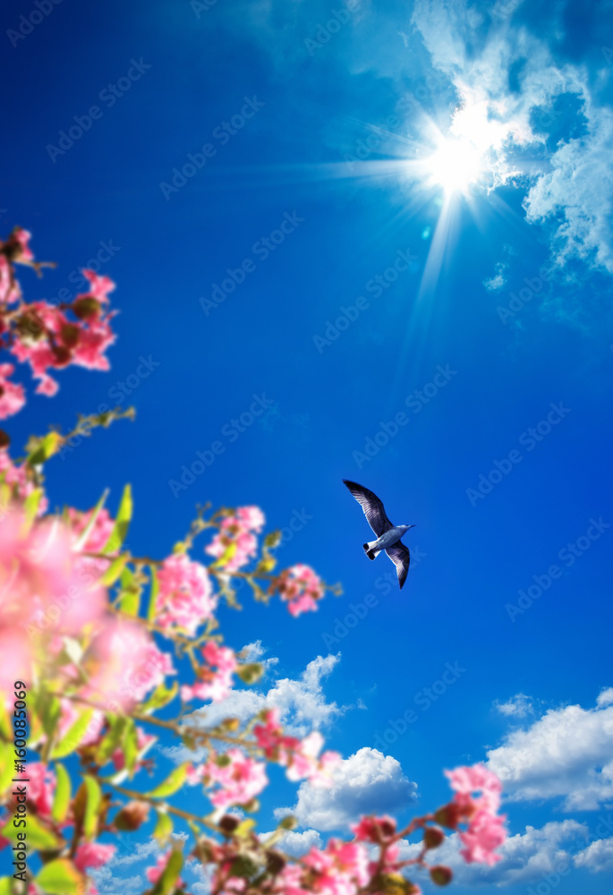 sunny spring day at beach