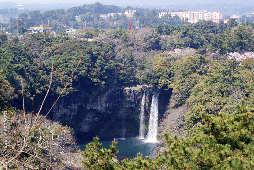 Fototapeta premium SONY DSC