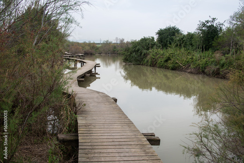 Visit to Ein Afek nature reserve photo