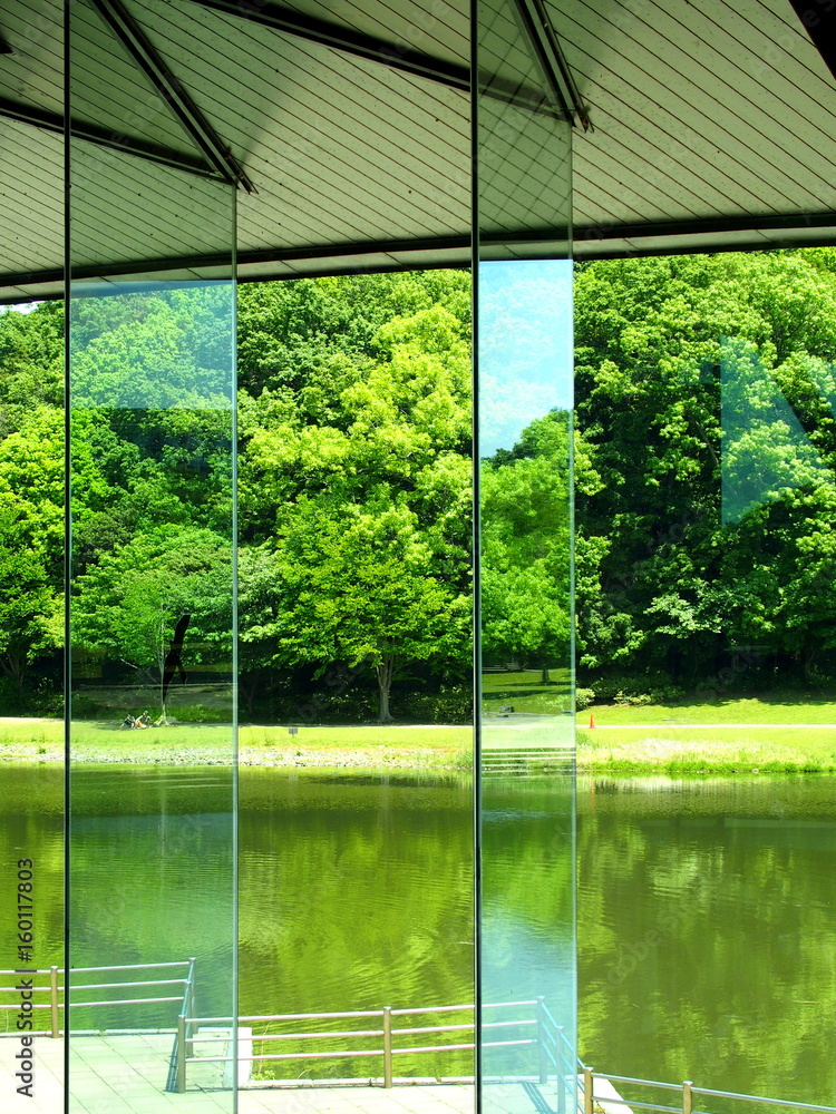 Naklejka premium パークセンター枯見る新緑の公園風景