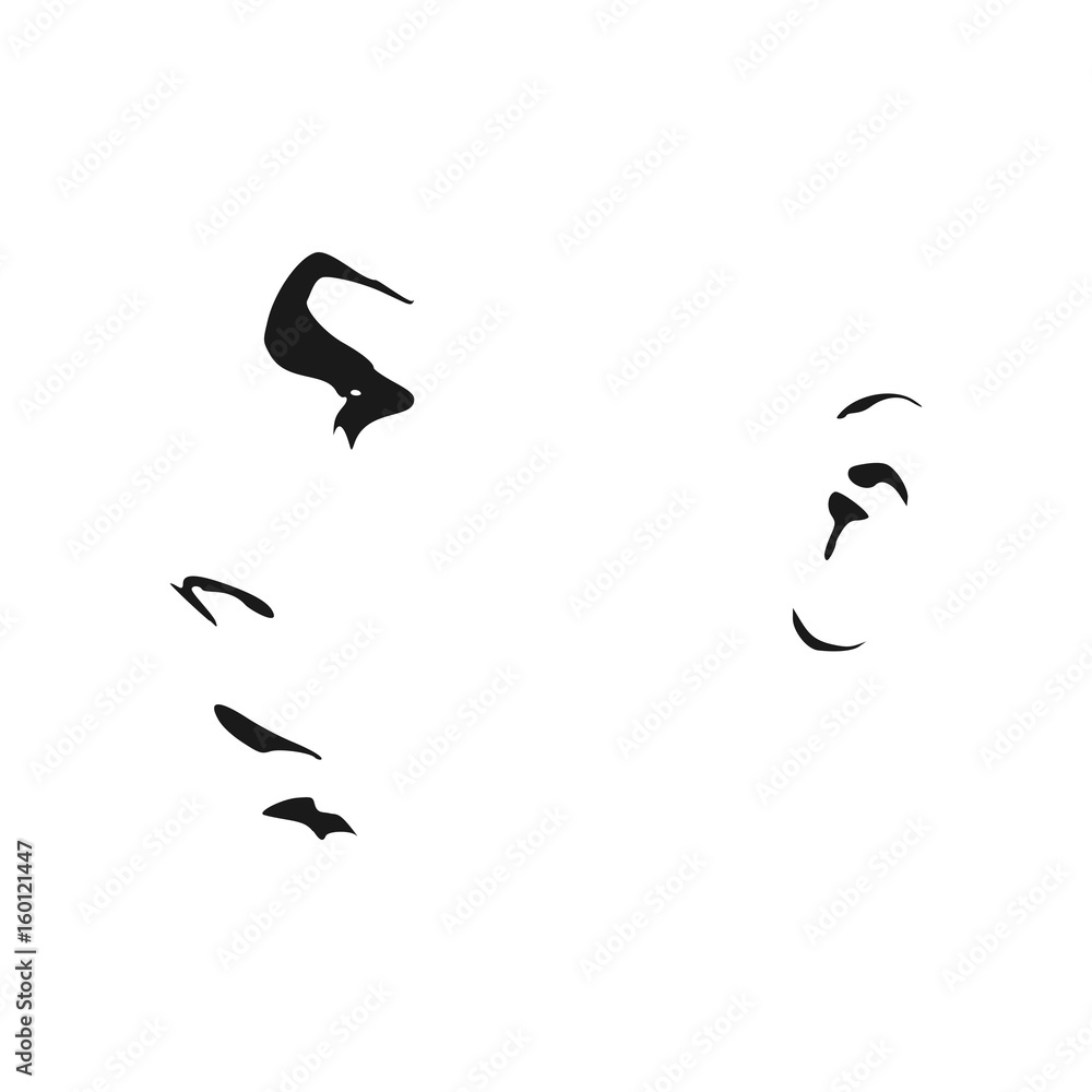 Face side view. Elegant silhouette of a female head. Vector Illustration. Monochrome gamma. Face side view. Elegant silhouette of a female head. Vector Illustration. Monochrome gamma.