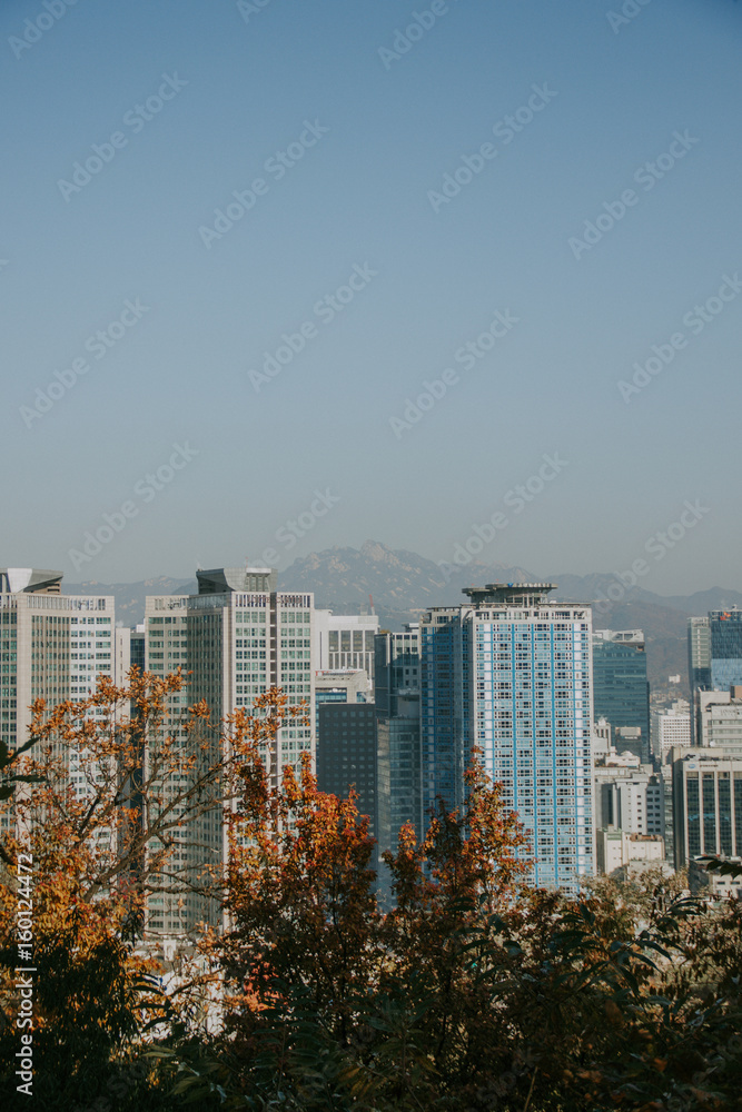 Obraz premium Seoul cityscape