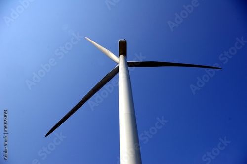 Wind Powered Electric Generators of Clean Energy  © Kirill Sokur