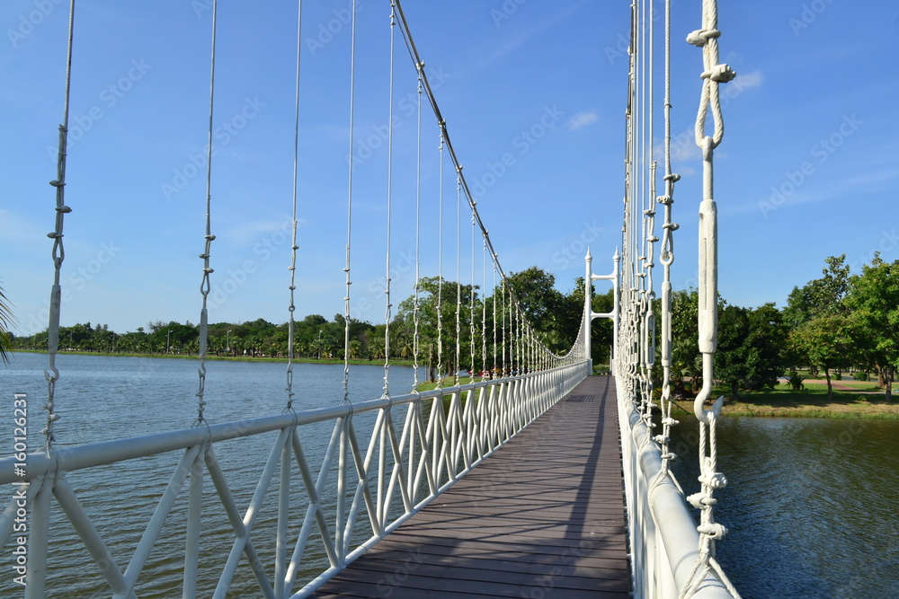Obraz premium bridge in park