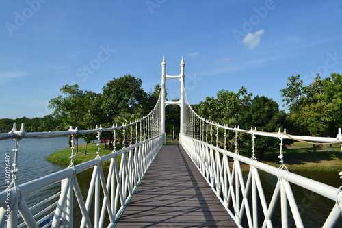 bridge in park