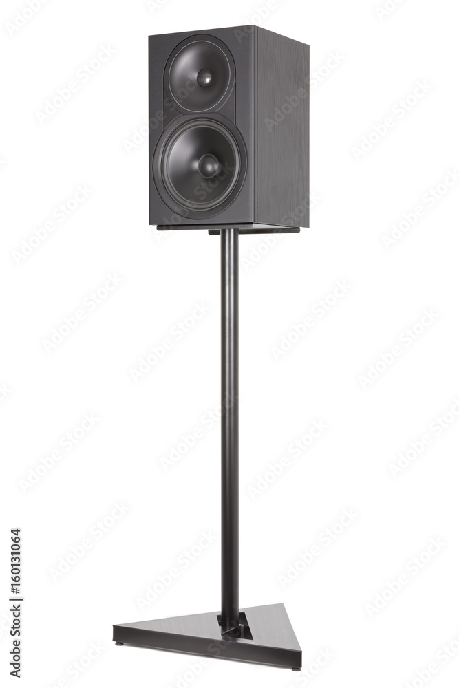 Monitor audio stands, professional two-way speaker