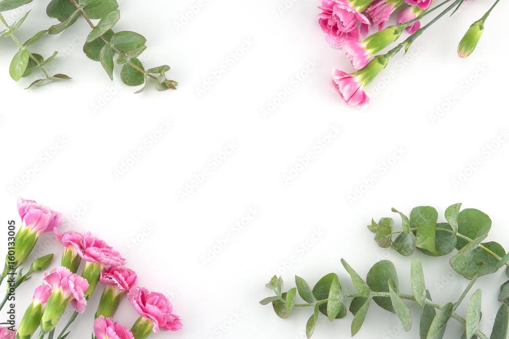 Baby eucalyptus leaves and pink carnation flowers on white background with copy space