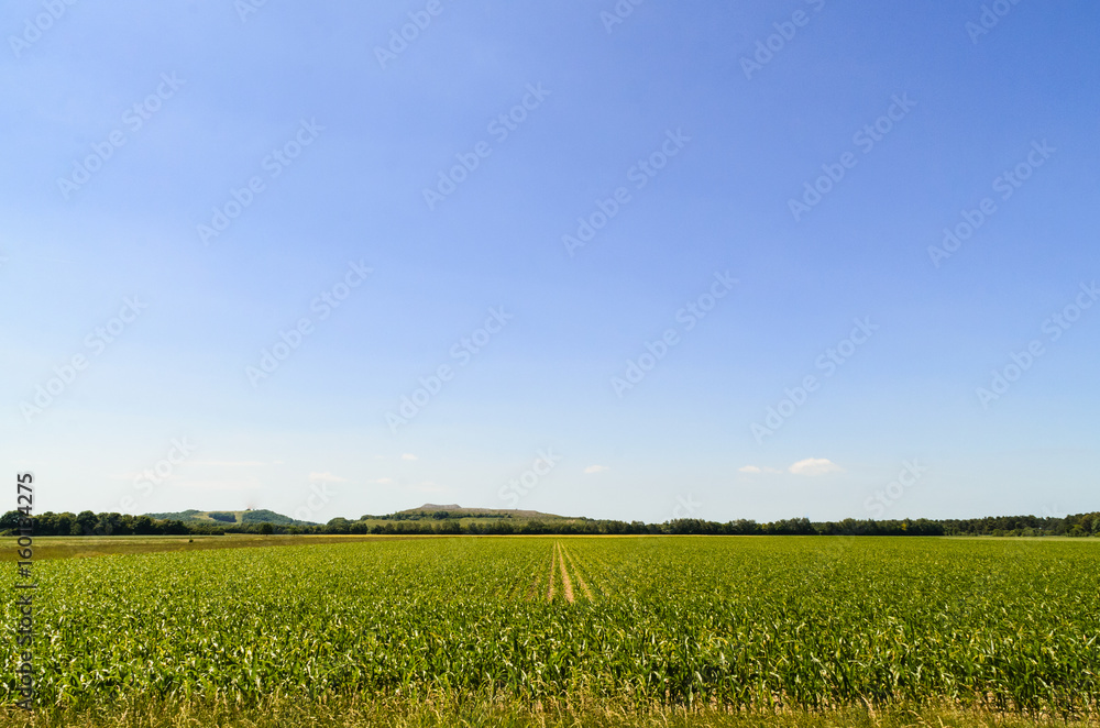 Weite Felder unter strahlend blauen Himmel