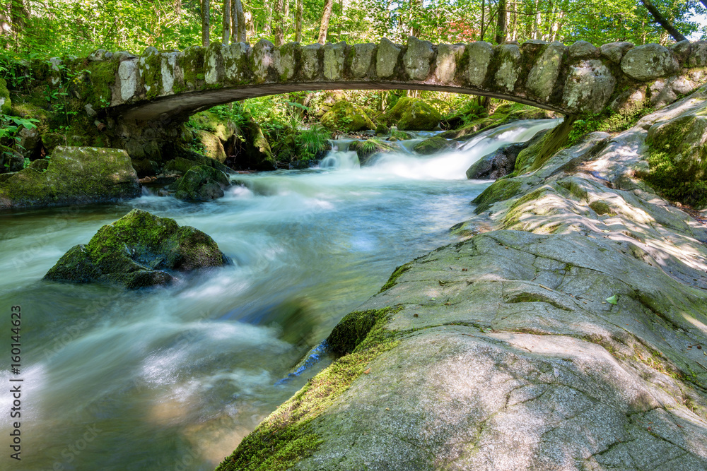 Obraz premium French countryside - Vosges. Waterfall in the Vosges with a stone bridge in the forest.