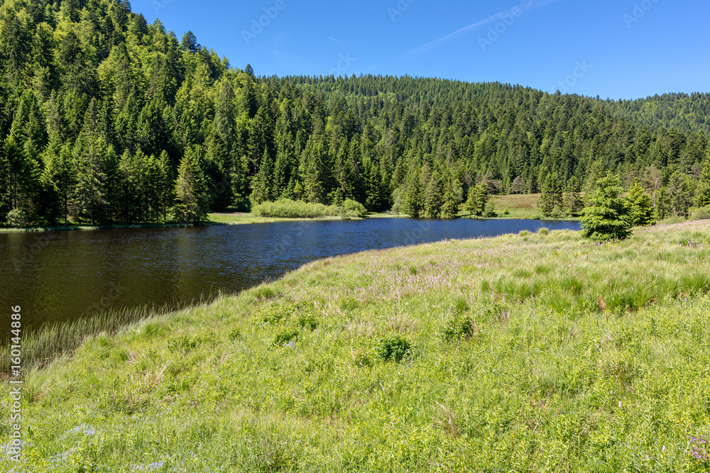 French countryside - Vosges. A small natural lake in a valley of the Vosges.
