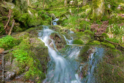 French countryside - Vosges. A river with waterfall in the wild forests of the Vosges.