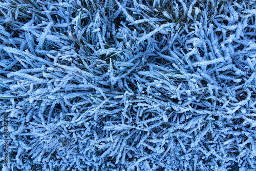 Background. Frozen grass covered by frost.