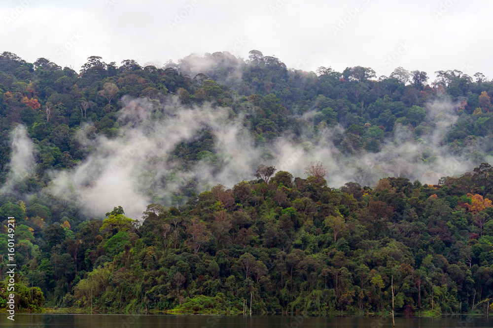 A submerged forest in Royal Belum Rainforest park - is believed to have been in existence for over 130 million years making it one of the world’s oldest rain-forests. A submerged forest in Royal Belum Rainforest park - is believed to have been in existence for over 130 million years making it one of the world’s oldest rain-forests.