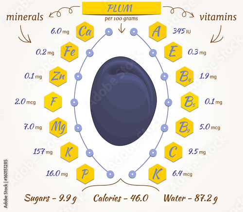 Plum infographics, nutrition facts, calories and analysis. The content of minerals and vitamins in plum. Vector illustration.