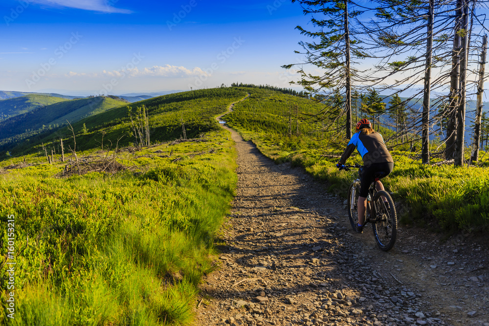 Obraz premium Mountain biking women riding on bike in summer mountains forest landscape. Woman cycling MTB outdoor sport activity.