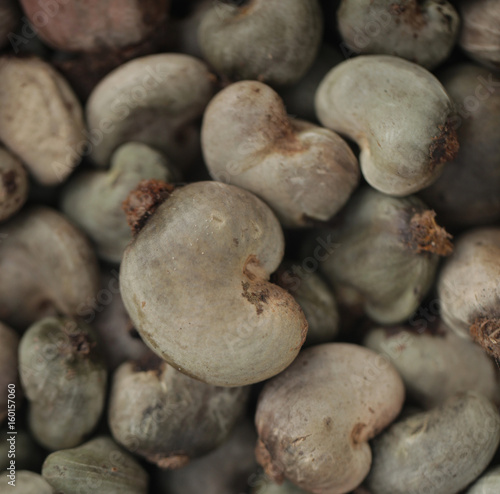 many cashew nuts before roasting - detail