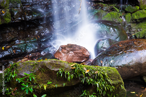 Water fall in the forest. photo