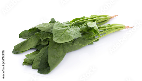 fresh spinach on white background