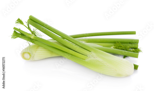 closeup fresh fennel bulb isolated on white background