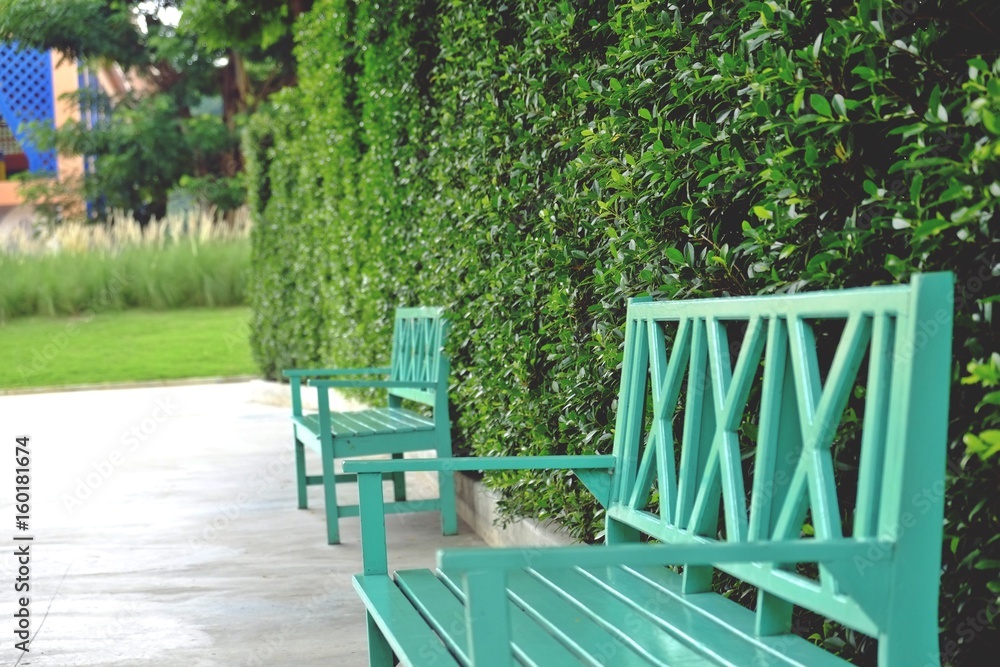 bench chair beside the banyan tree