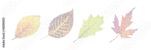 Stampa su Tela Stipple colorful isolated vector botanic garden nature Autumn leaf collection