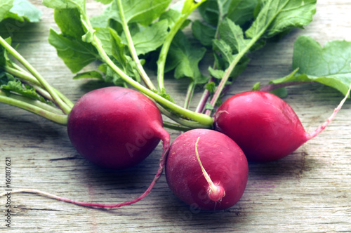 Raphanus sativus Hreðka Rotkvica Rábano Radish Ravanello 萝卜 Radísa צנון Radishes Tuinradijs Retek Radis 무 식물 Ravanelli Garten-Rettich Ρεπάνι Rzodkiew zwyczajna photo