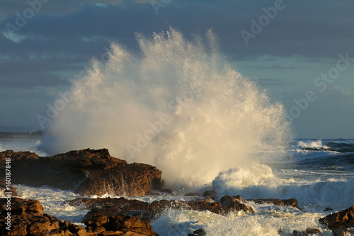 Seascape with large breaking wave on coastal rocks, South Africa .
