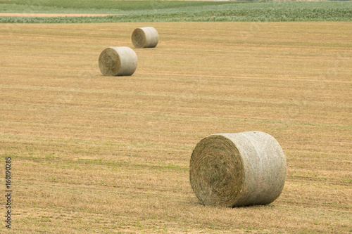 Rolls of haystacks in the fields