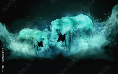 Canvas Print Two elephants in blue fog