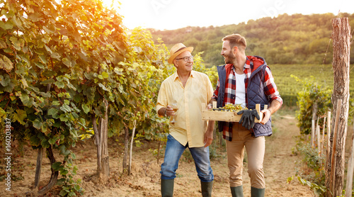 Family in vineyard celebrating harvesting grapes.