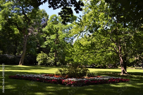 Park mit Blumen