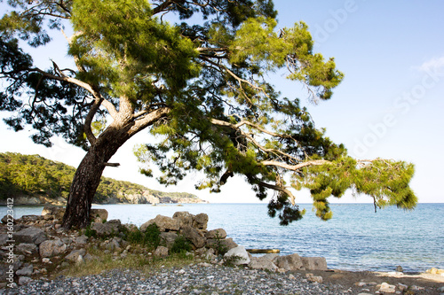 Old ancient ruins of Phaselis