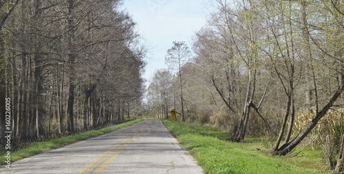 Backroad in the Bayou 