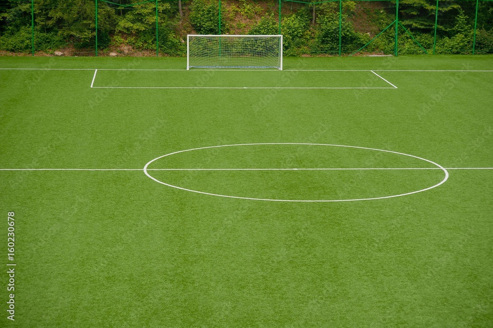 Fototapeta premium football field