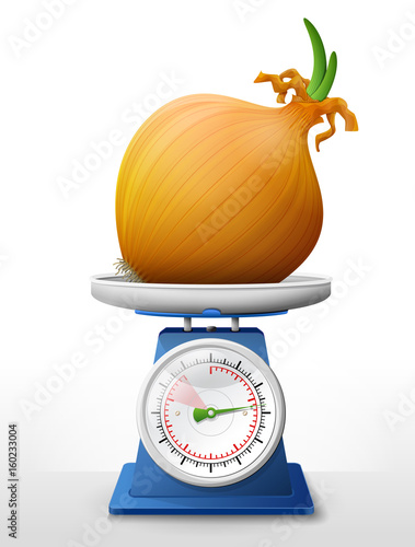 Common onion on scale pan. Weighing shallot bulb with small leaves on scales. Best vector illustration about agriculture, vegetables, cooking, health food, gastronomy, olericulture, etc