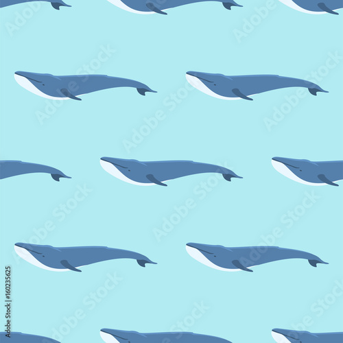 Vector whale illustration seamless pattern humpback ocean marine mammal wildlife aquatic animal character.