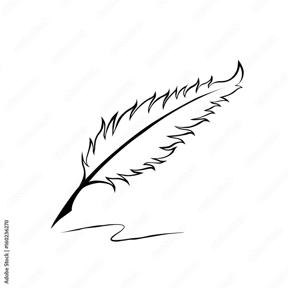 Feather pen. Drawing of ancient pen on white background in doodle