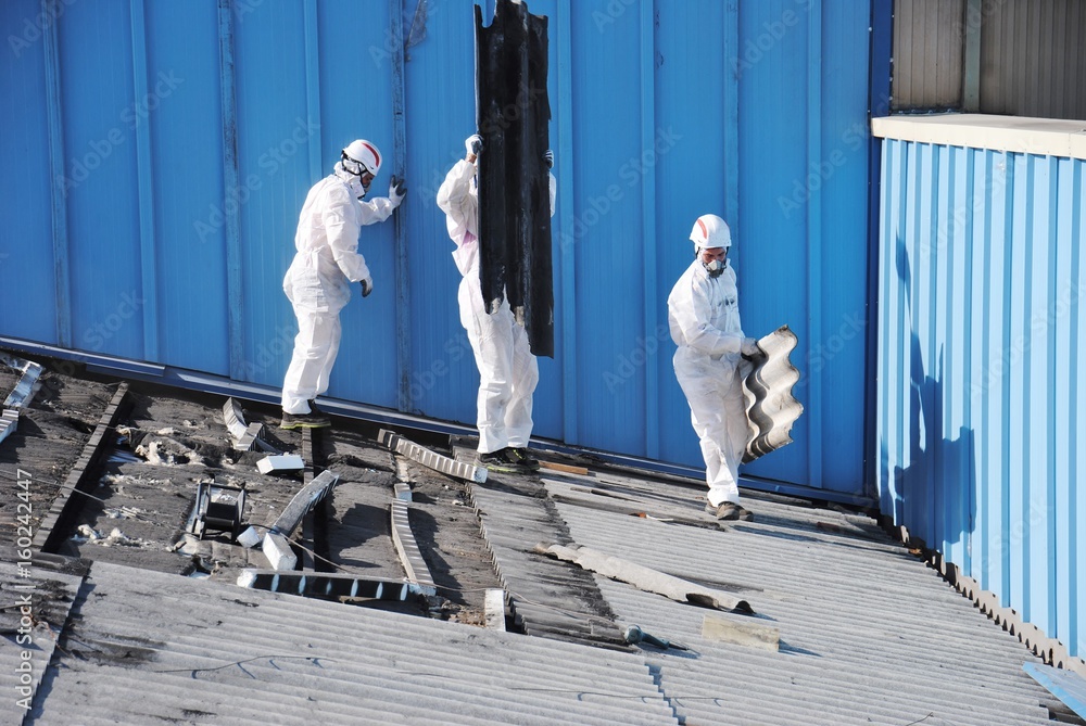 Φωτογραφία Trabajadores de amianto retiran tejado de fibrocemento en Alava (España)