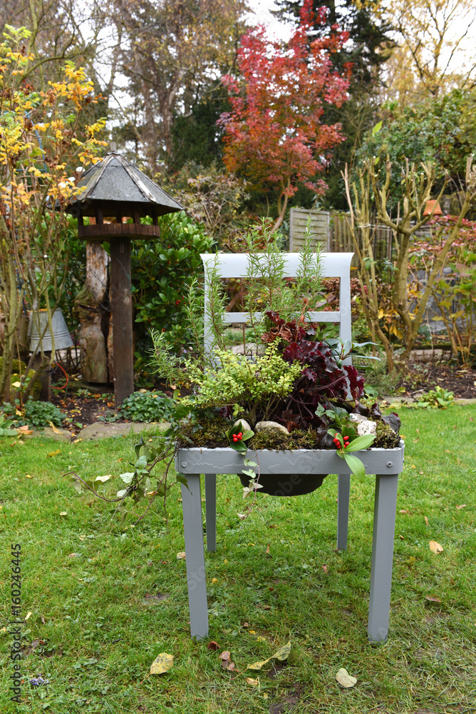 Garten, Stuhl bepflanzen Stock-Foto | Adobe Stock