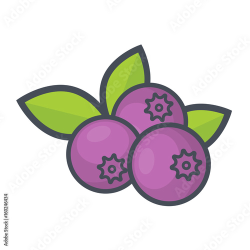 cartoon blueberry vector